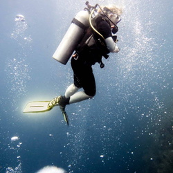 2016 Tauchsafari Philippinen